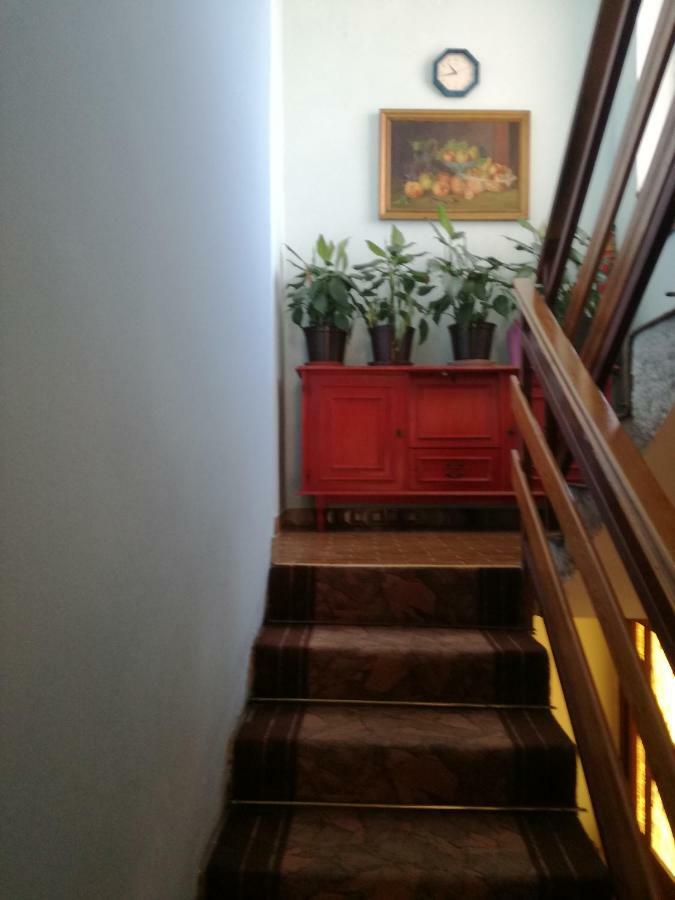 Villa Letina Sukošan المظهر الخارجي الصورة