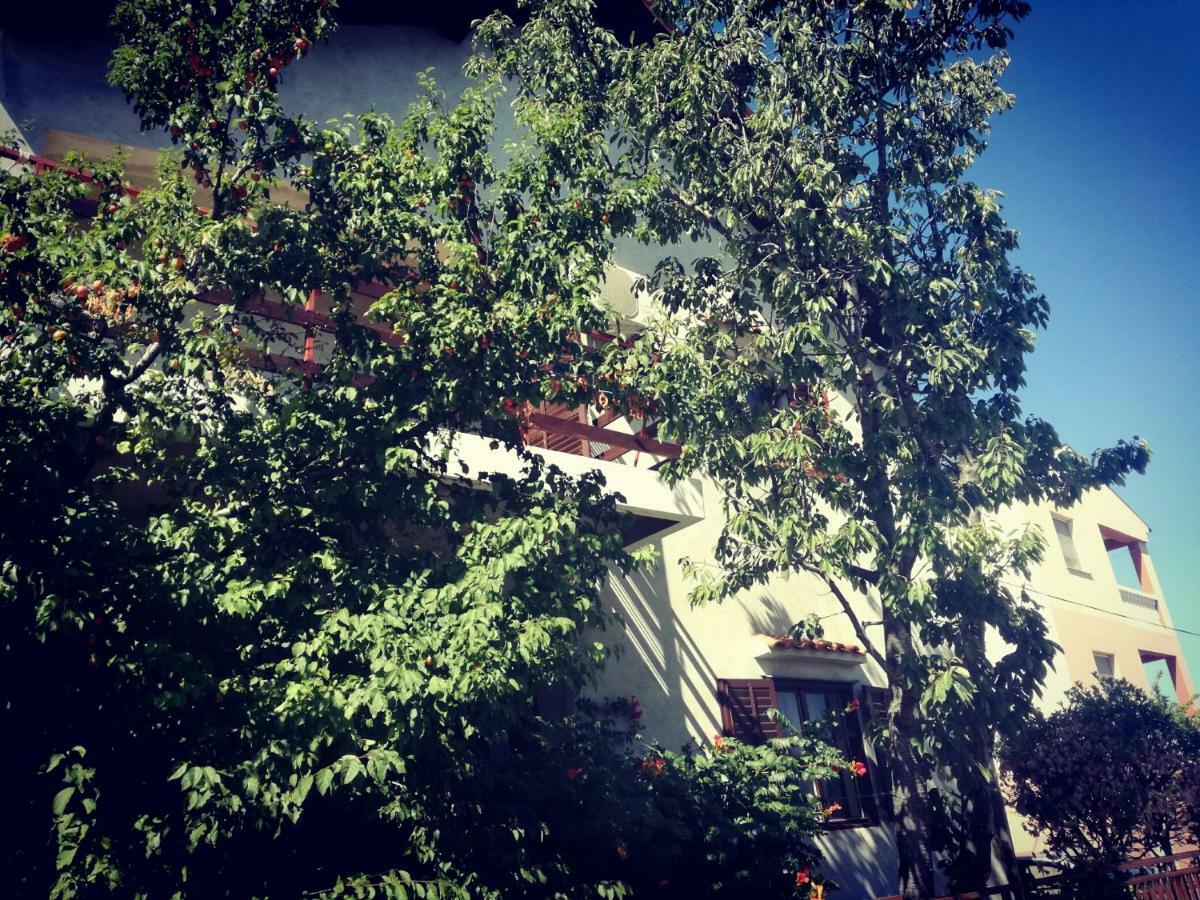 Villa Letina Sukošan المظهر الخارجي الصورة